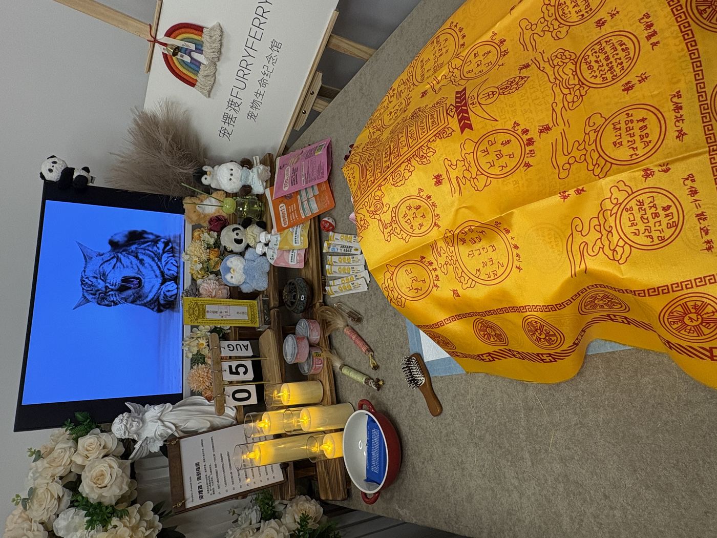 在哪里安葬比较好