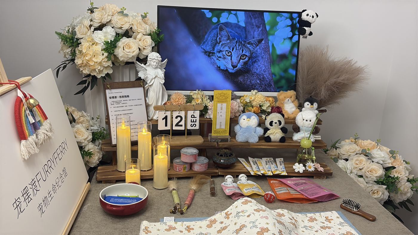 骨灰安置怎么选？合肥常见的五种安葬方式对比