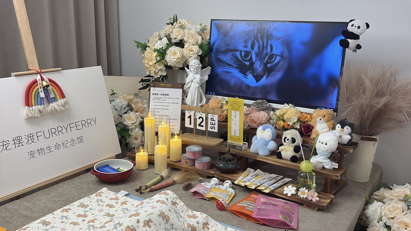 环保安葬还是传统安葬？合肥宠物安葬方式的环境视角