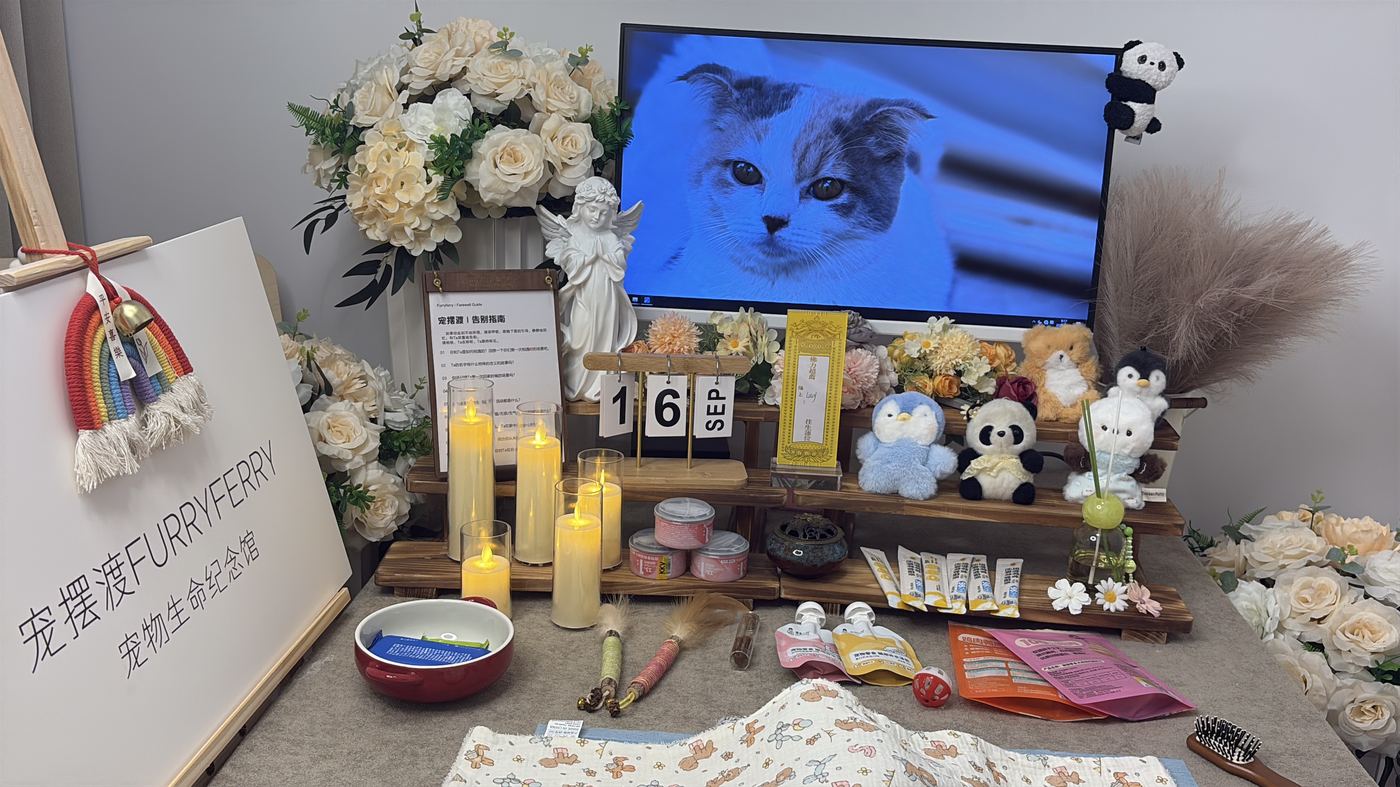 节日期间宠物殡葬服务安排：合肥春节与清明假期指南
