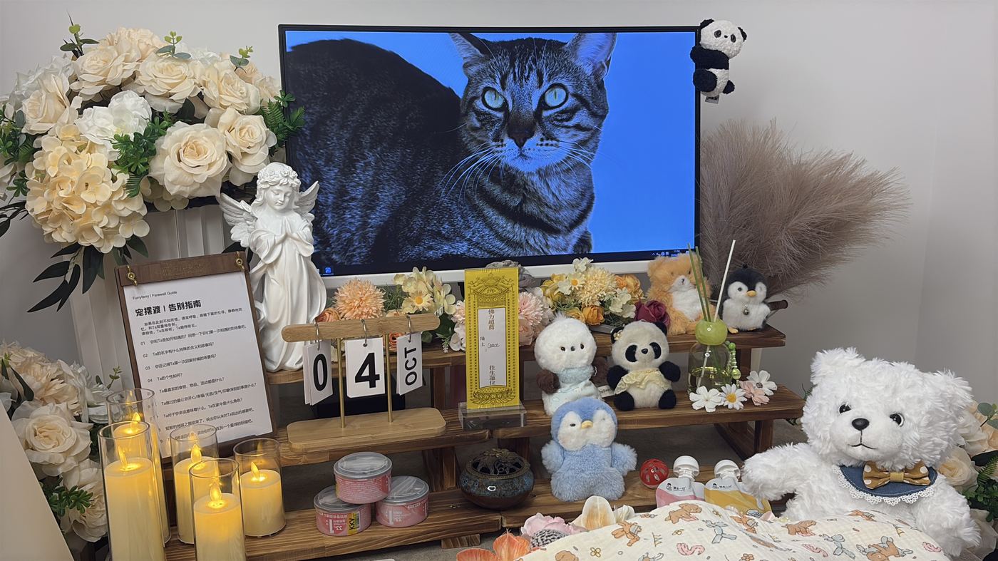 从体重看实际花销