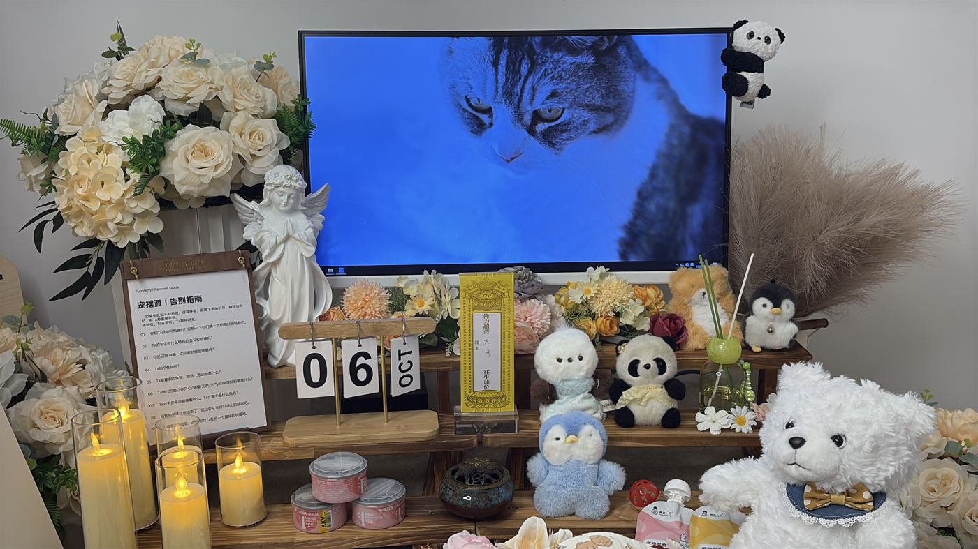 如何面对宠物离世的悲伤？写给合肥养宠人的心理支持