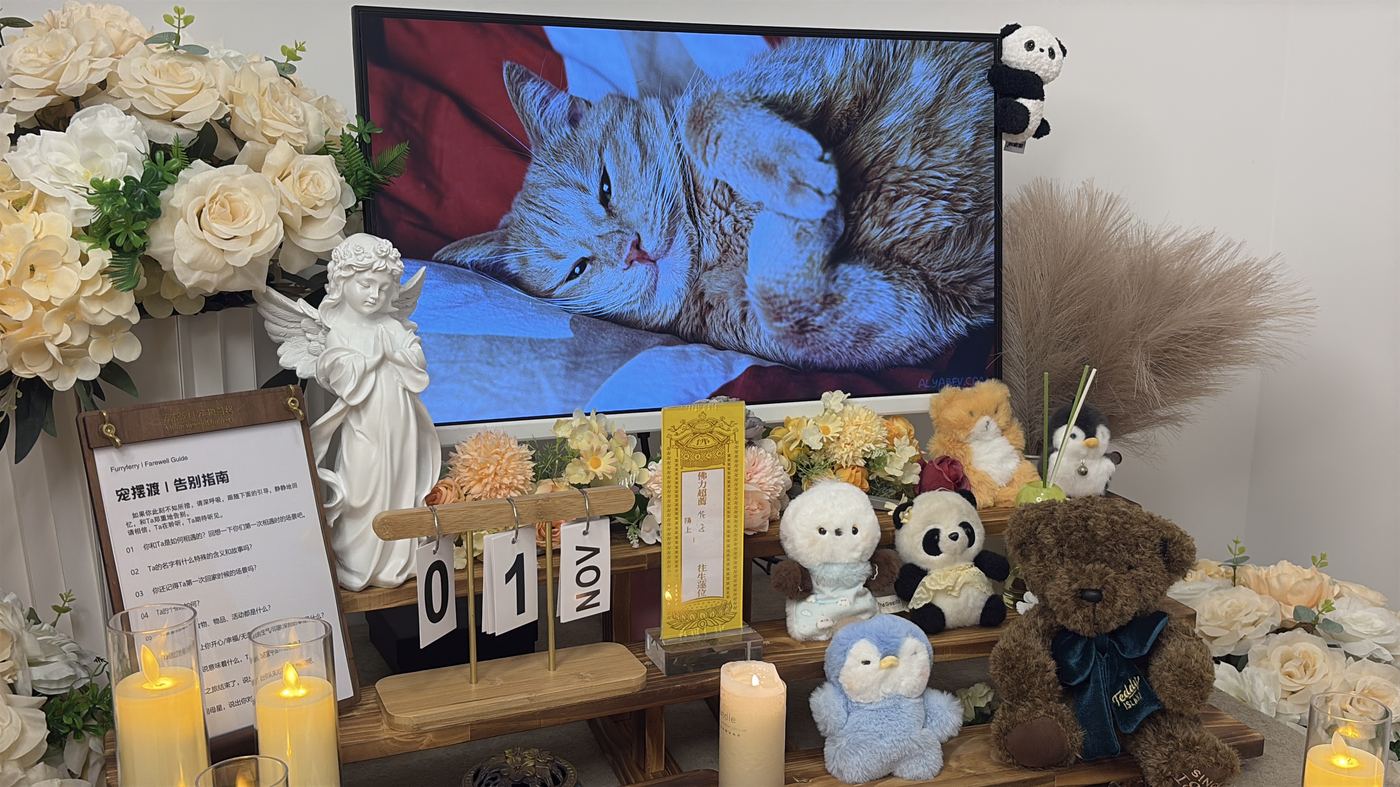 不需要为难过道歉